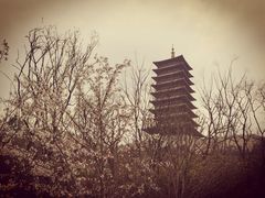 -牛首山文化旅游区