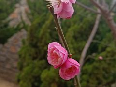 -颐和园