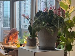 -一尺花园(安和花园店)