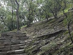 -大伊山景区