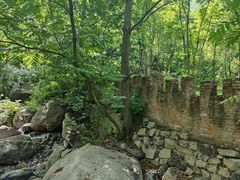 -云岫谷游猎自然风景区