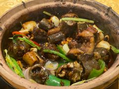 秘制酱生啫花鳝-天宝食坊·啫啫煲大排档(西华路店)