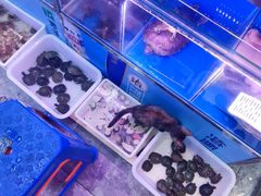 -大自然花鸟鱼虫市场