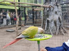 -北京野生动物园