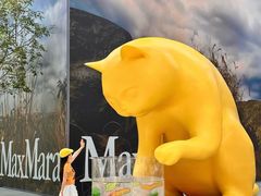 -深圳湾万象城(南山店)