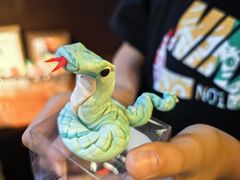 -南京市民俗博物馆(甘熙故居)
