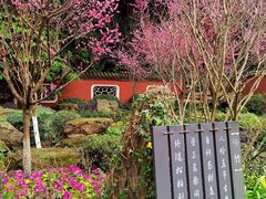 -望江楼公园