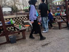 -尚庄度假村·庭台树下·户外烧烤·团建CS·轰趴营地(上庄水库店)