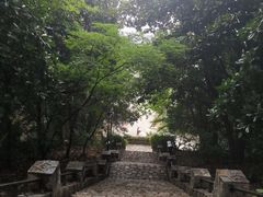 -紫金山天文台
