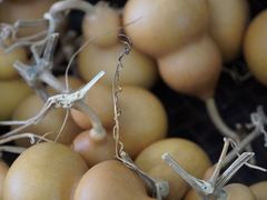 -幽篁里古琴制作中心