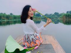 -白洋淀景区