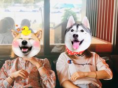 -成都娃娃花园餐厅 (南艺旗舰店)