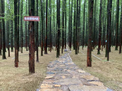 -山王坪喀斯特国家生态公园