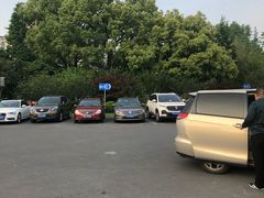 -大宁郁金香公园-停车场