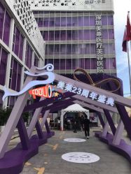 -深圳美莱医疗美容医院