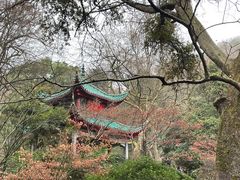 -岳麓山风景名胜区