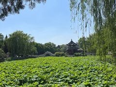 -莲池书院博物馆