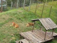 -青藏高原野生动物园