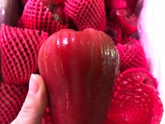 -菜园坝水果市场