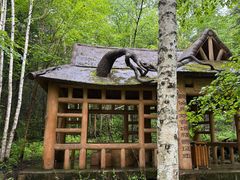 -汤旺河林海奇石景区