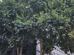 -西安市广仁寺