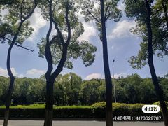 -胜华驾校·小猫学车(银都店)