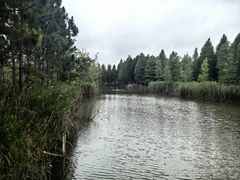 -泗洪洪泽湖湿地景区
