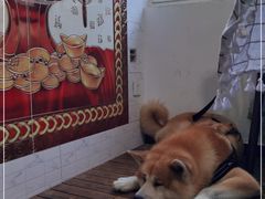 -北京白河湾刘家大院