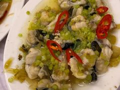 鳗鱼-老三鱼仔店