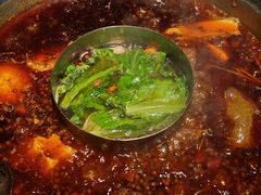 -巴倒烫陆派重庆火锅(南山店)