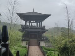 -大唐贡茶院