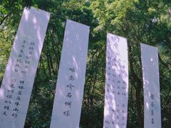 -深圳仙湖植物园