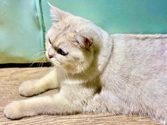 -小时光咖啡馆(开森度假森林店)