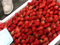 -西郊国际农产品交易中心