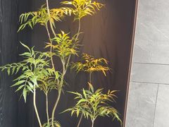 -浩运·海鲜青岛菜·海胆水饺(石老人店)
