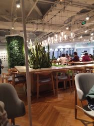 -悦诗风吟innisfree