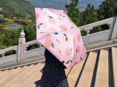 -龙口南山旅游景区