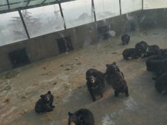 -石老人观光园