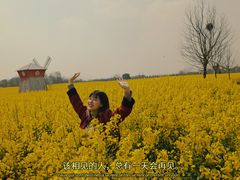 -金卉庄园