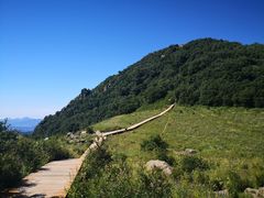 -白草畔自然风景区