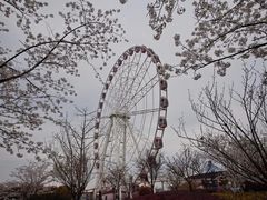 -顾村公园