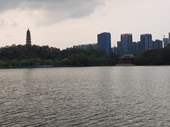-顺峰山公园