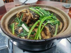 -华仔土鸡店(南洲分店)