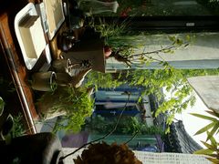 android_upload_pic-汤厨(五道营店)