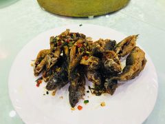 和花鲤-喜悦海鲜大酒楼(钱柜广场店)