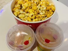 -红星电影世界上海张江绿地店