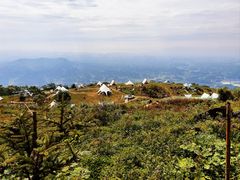 -齐岳山