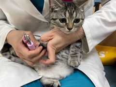 -美联众合动物医院·24h京西诊疗中心