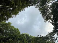 -上海醉白池公园