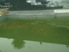 景点-紫荆山公园